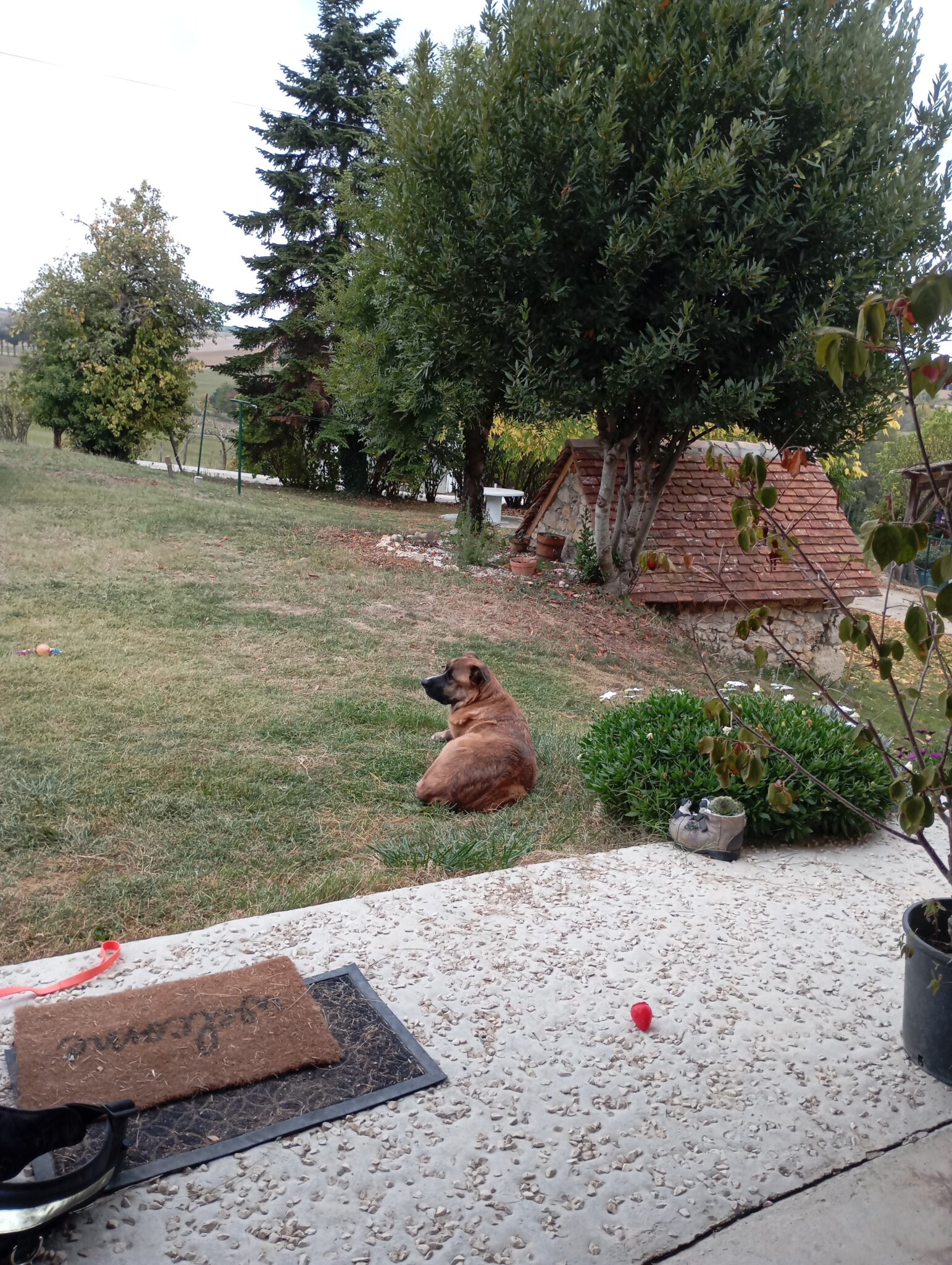 Pension canine Astaffort